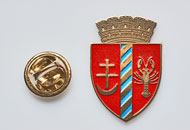 Insigne Nichelate Dorohoi