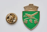 Insigne Nichelate Dumbraveni