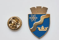 Insigne Nichelate Magurele