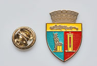 Insigne Nichelate Primaria Cluj Napoca