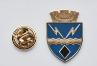 Insigne Nichelate Rovinari