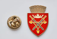 Insigne Nichelate Sibiu