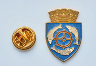 Insigne Aurite Barlad