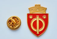 Insigne Aurite Bod