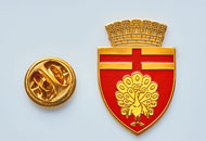 Insigne Aurite Botosani
