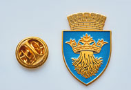Insigne Aurite Brasov