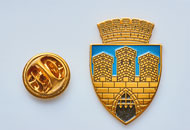 Insigne Aurite Cluj Napoca