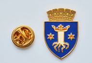Insigne Aurite Codlea