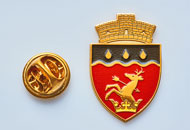 Insigne Aurite Costuleni