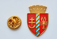 Insigne Aurite Dorohoi
