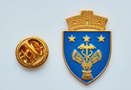 Insigne Aurite Ineu