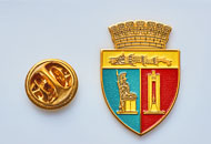 Insigne Aurite Primaria Cluj Napoca