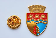 Insigne Aurite Reghin