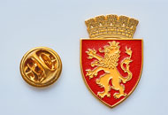 Insigne Aurite Sebes
