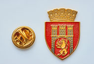 Insigne Aurite Sighisoara