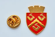 Insigne Aurite Targu Ocna