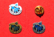 Insigna policromie decupata