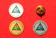 Insigna policromie rotunda