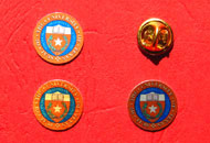 Insigne de rever rotunde policromie