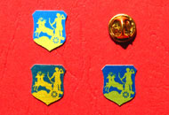 insigne pins policromie scut