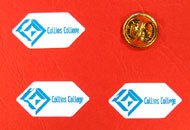 Insigne cu rasina hexagonale