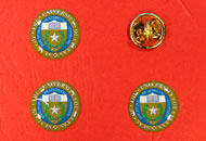 Insigne pins cu rasina rotunde