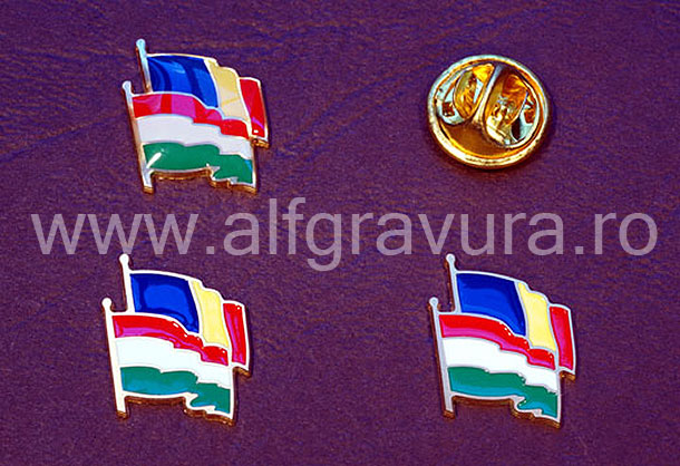 Insigna Romania Ungaria