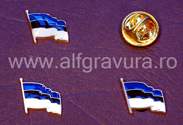 Insigna Steagul Estoniei