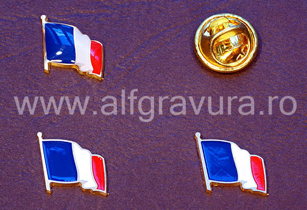 Insigna Steagul Frantei