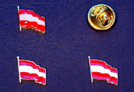 Insigne steagul Austriei