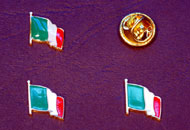 Insigne steagul Italiei