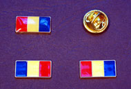 Insigne tricolor Romania