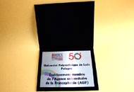 Diplome plus neagra placheta policromie