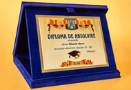 Plachete PAL27 - Casete plus albastru