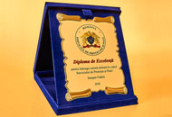 Plachete PAL06 - Casete plus albastru