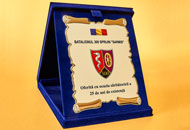 Plachete PAL07 - Casete plus albastru