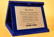Plachete PAL25 - Casete plus albastru