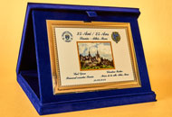 Plachete PAL01 - Casete plus albastru
