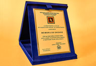 Plachete PAL20 - Casete plus albastru