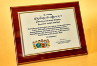 Plachete PAL21 - Suport din Lemn