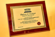 Plachete PAL00 - Suport din Lemn