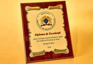 Plachete PAL06 - Suport din Lemn