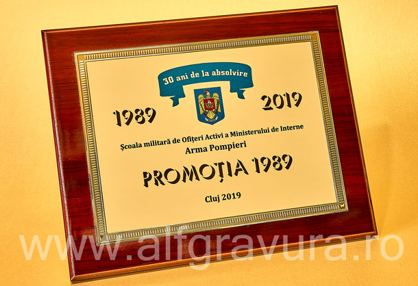 Placheta Lemn Lacuit - Placheta aluminiu PAL12