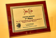 Plachete PAL10 - Suport din Lemn