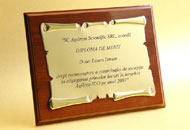 Plachete gravate PAL17 suport lemn