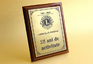 Plachete plastic metalizat auriu negru