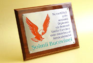 Placi personalizate alama nichelata periata 