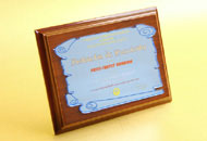 Plachete personalizate oglinda albastra
