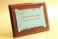 Plachete oglinda verde suport lemn