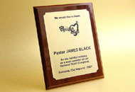 Plachete verticale plastic metalizat